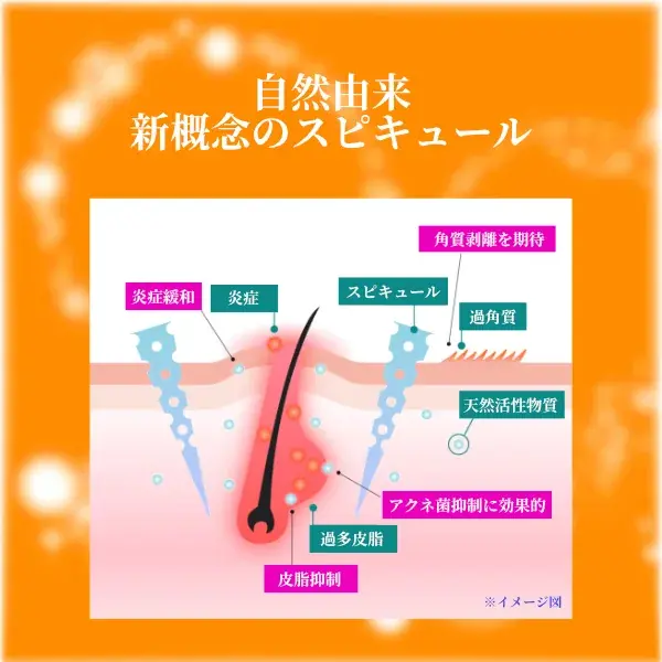 シカリペア スピキュールアンプル100 2ml×6包入(画像6)