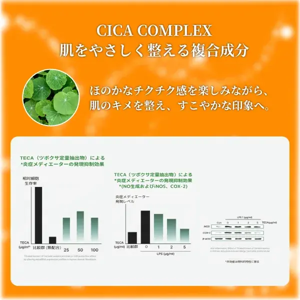 シカリペア スピキュールアンプル100 2ml×6包入(画像11)