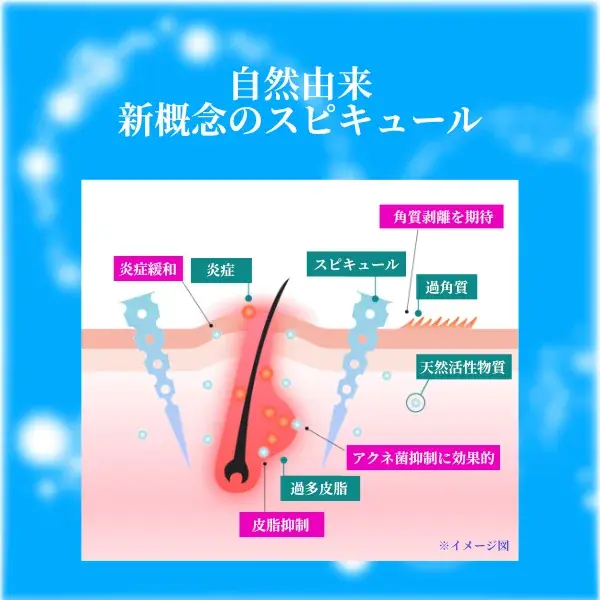 シカリペア スピキュールアンプル300 2ml×6包入(画像6)